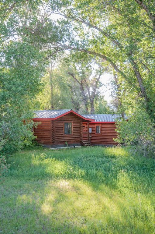 Teton Valley Cabins دريغس الغرفة الصورة
