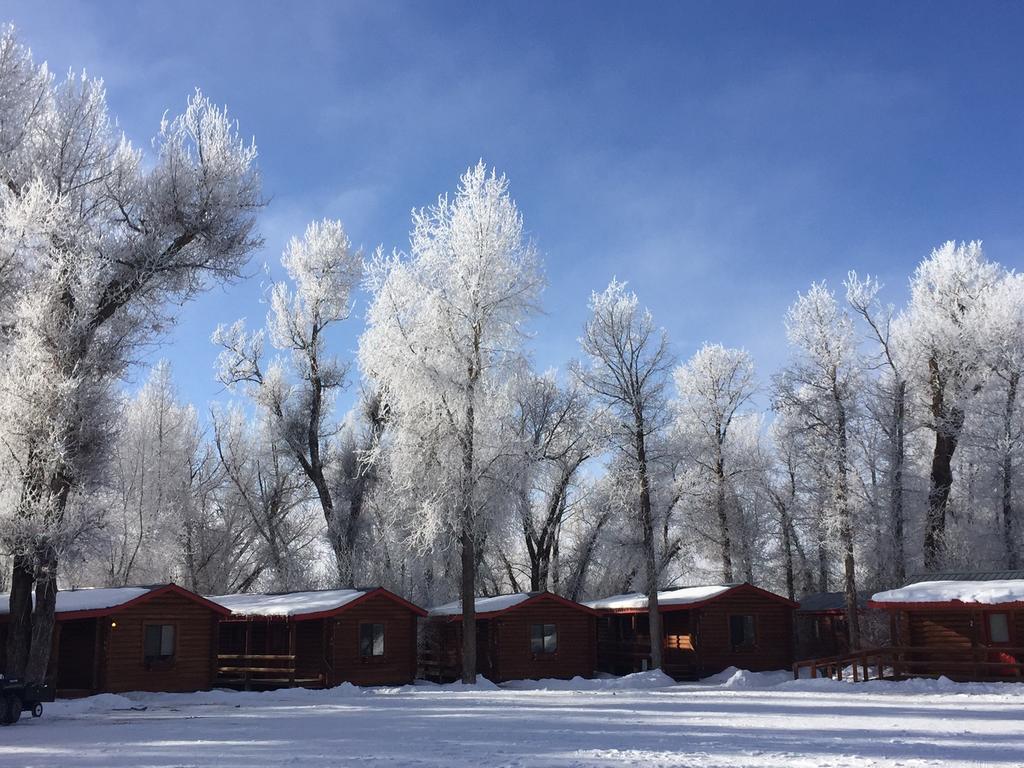 Teton Valley Cabins دريغس المظهر الخارجي الصورة