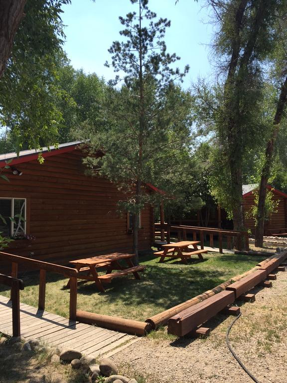 Teton Valley Cabins دريغس المظهر الخارجي الصورة