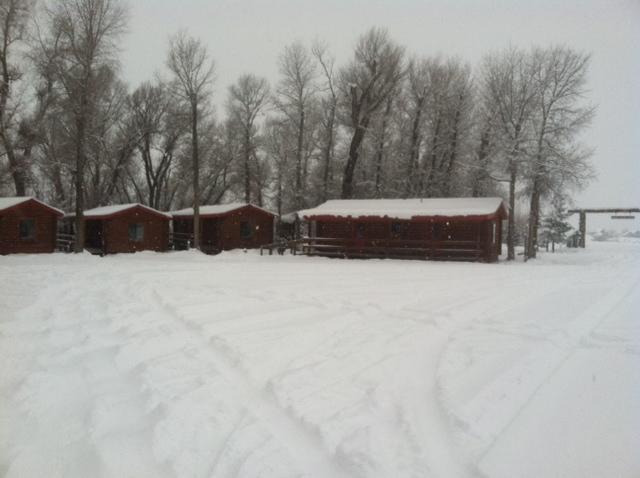 Teton Valley Cabins دريغس المظهر الخارجي الصورة